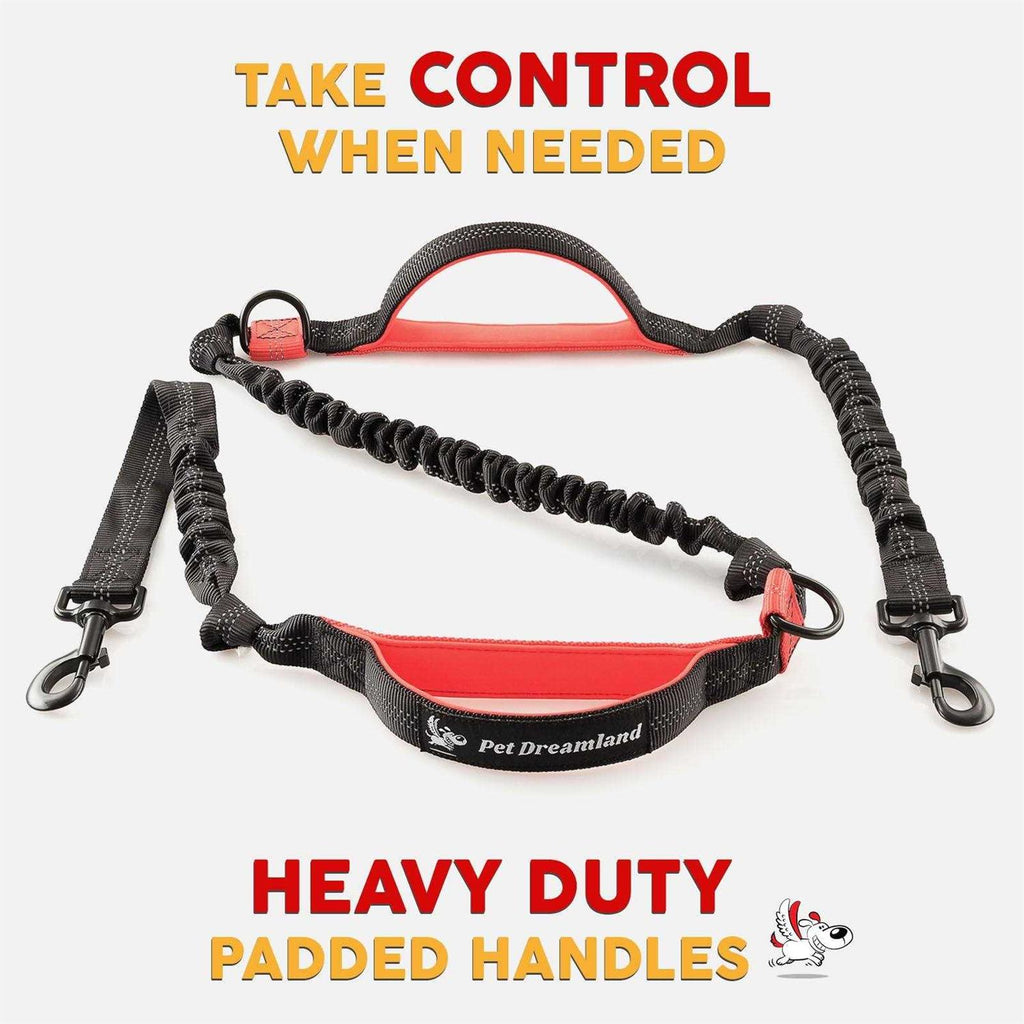 Hands Free Dog Leash A640