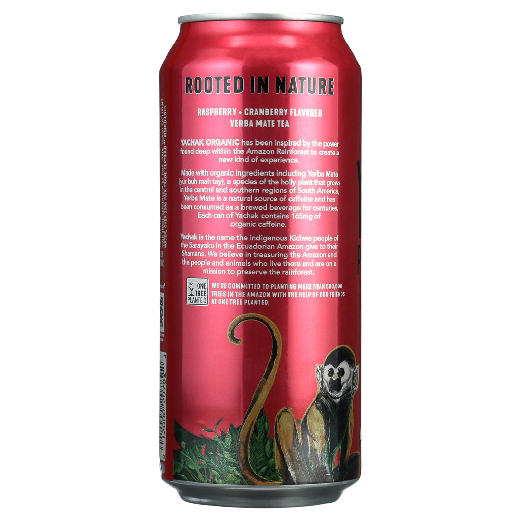 Yerba Mate Drink 16 fl oz 12 Pack Cans F631145