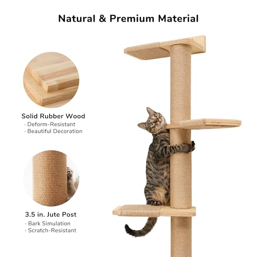 5 Tier Floor to Ceiling Cat Tree Y4859