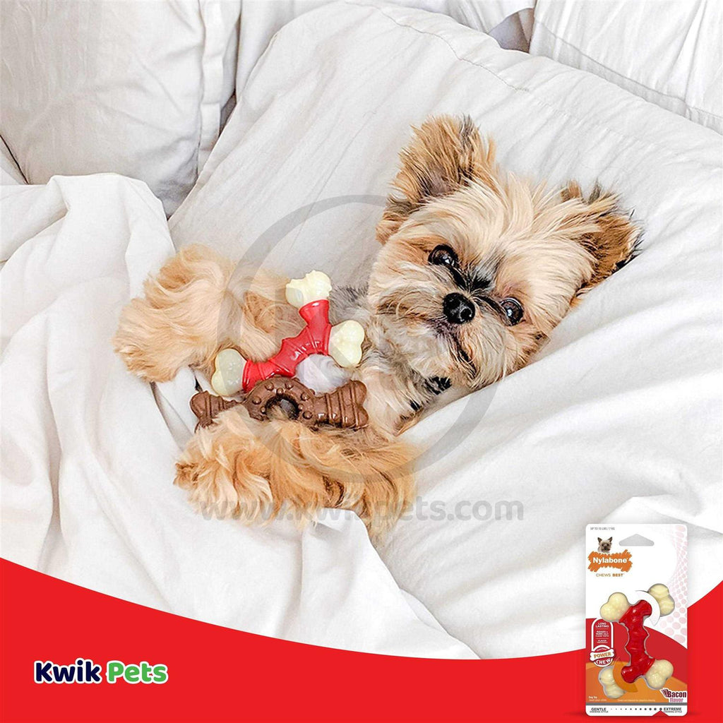 Double Bone Bacon Petite Pet Chew R92332