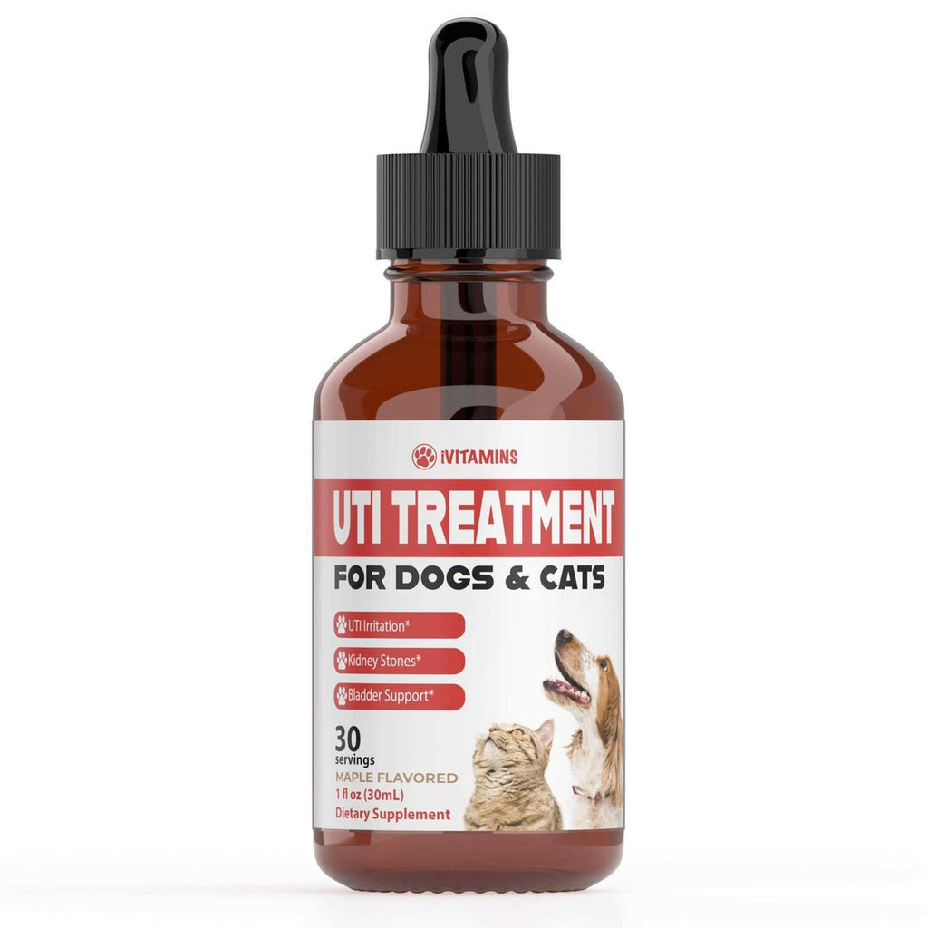 Pumpkin Cranberry Supplement for Dogs N427248