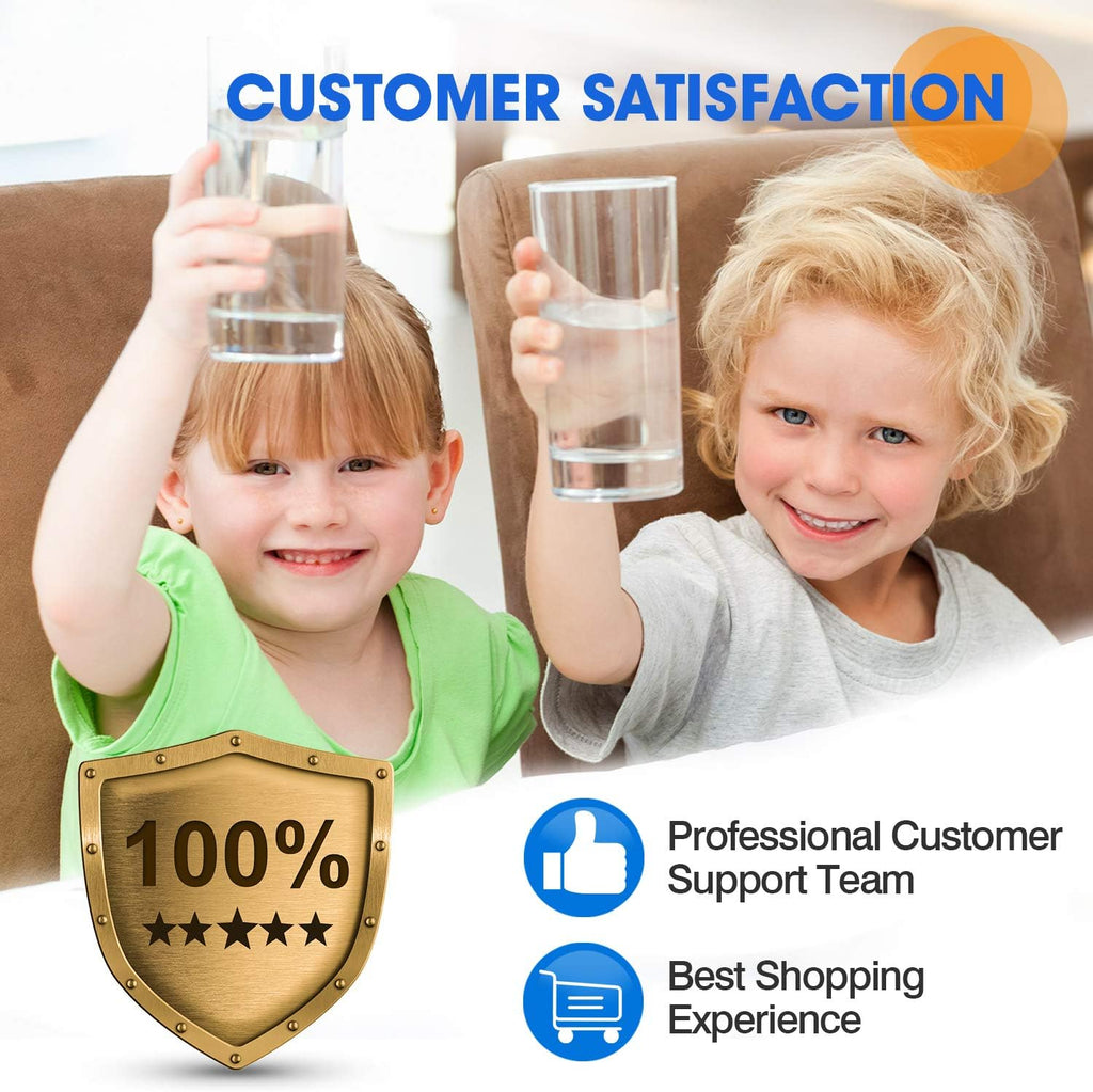 20 x 4.5 Whole House Pleated Sediment Filter Replacement Cartridge 2Pack Q5620