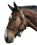 Havana Leather Halter with Snap V1353