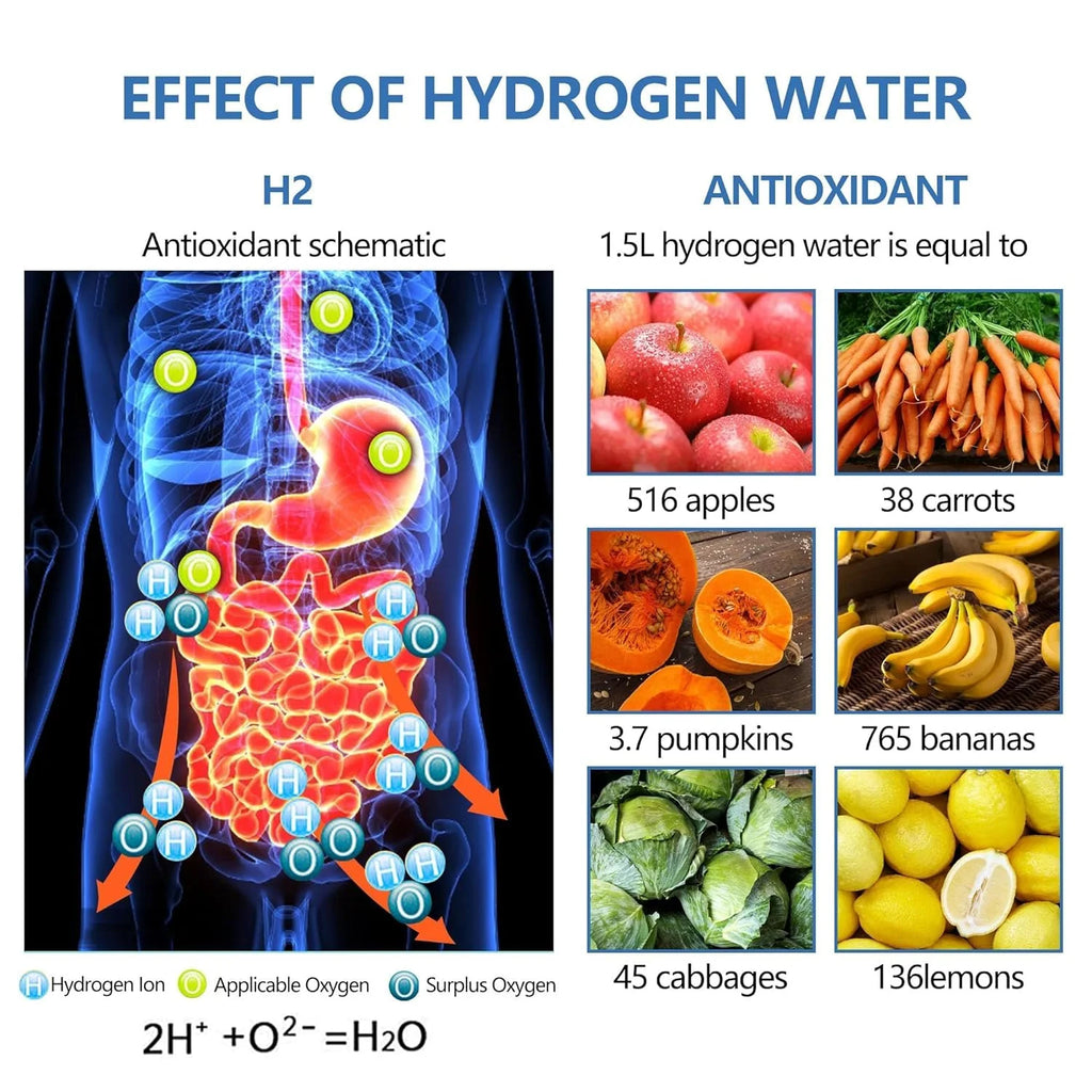 Rechargeable Portable Hydrogen Water Bottle E9919