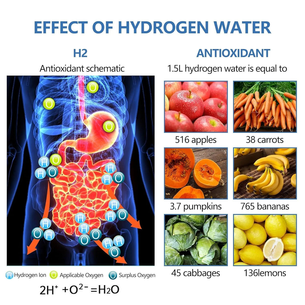 Rechargeable Portable Hydrogen Water Bottle E9919