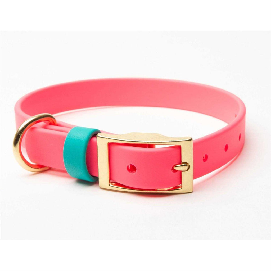 Waterproof Odorless Dog Collar T9291