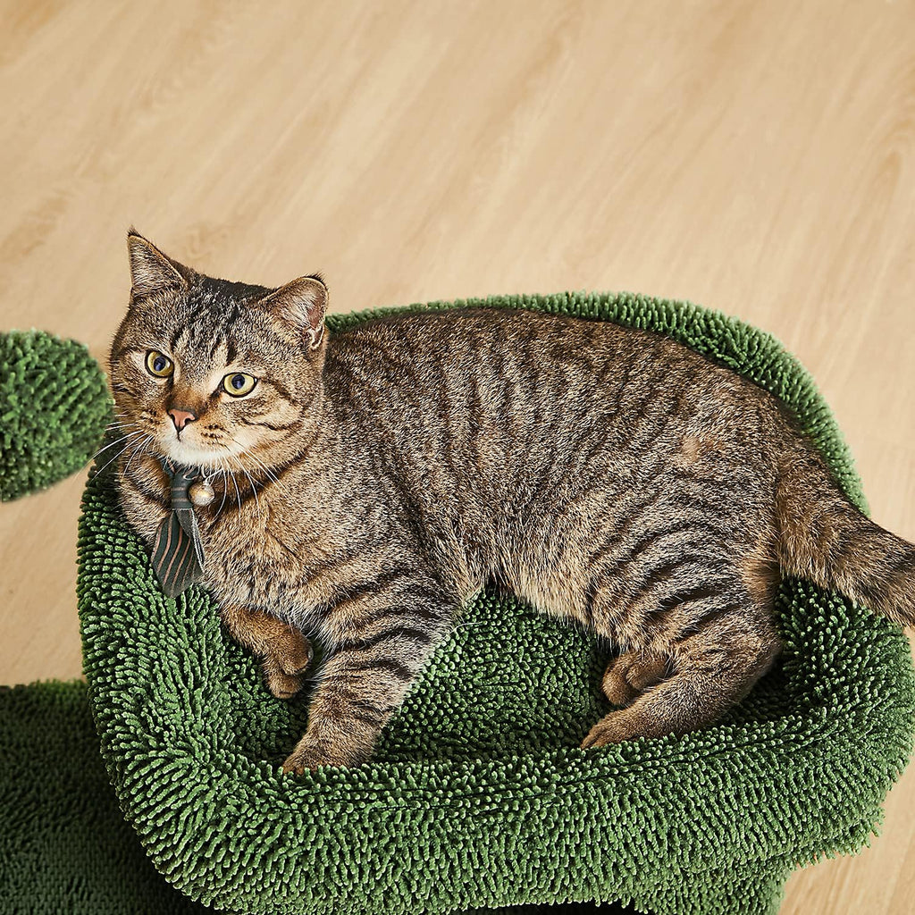 Green Cat Scratching Post Kitty Condo with Dangling Ball U27459