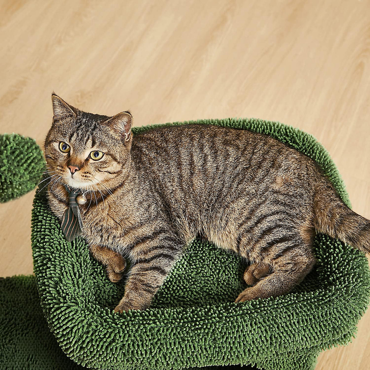 Green Cat Scratching Post Kitty Condo with Dangling Ball U27459
