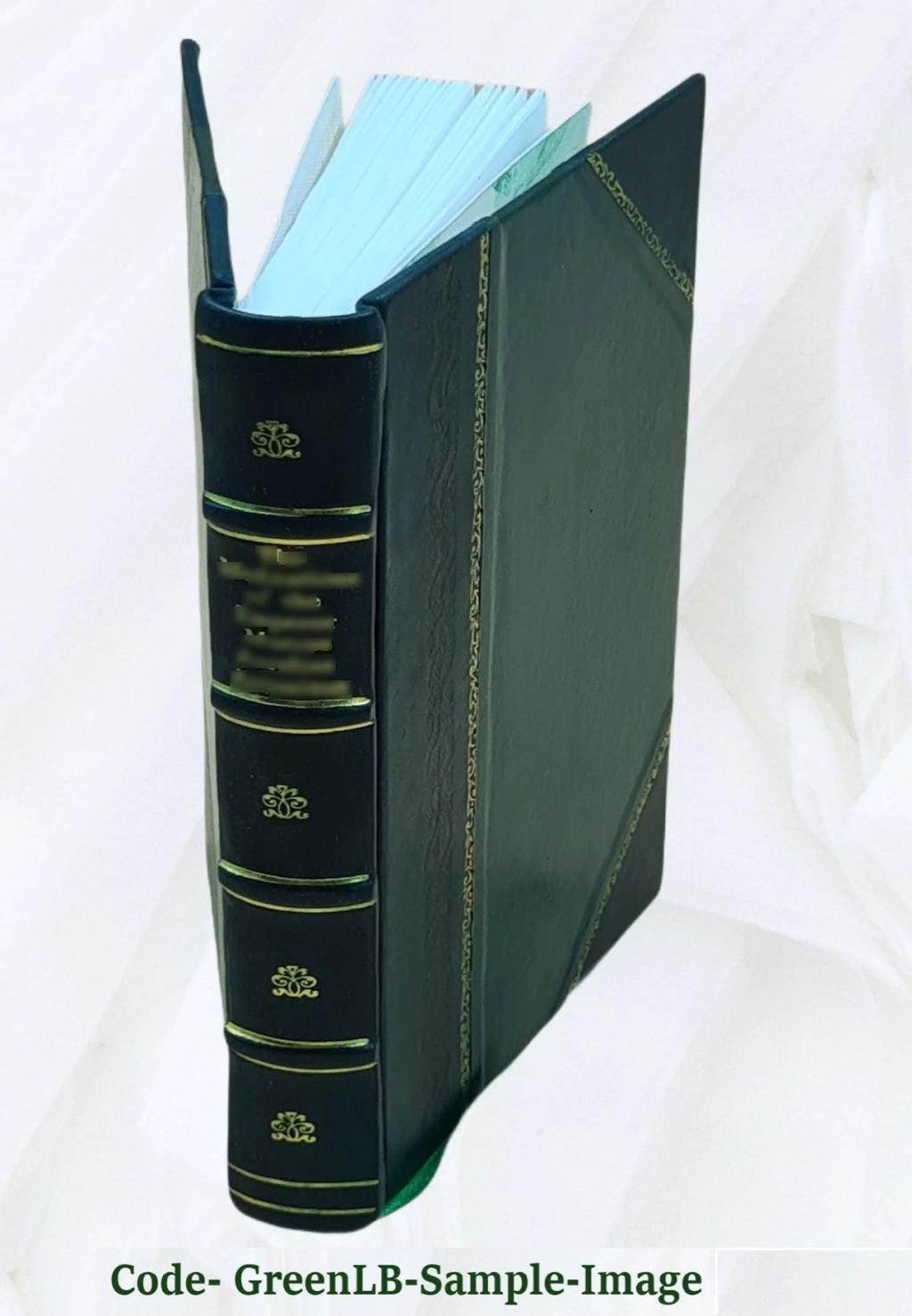 Ophthalmic Science and Practice Handbook W85774